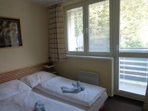 1 dormitorio con 1 cama y 2 ventanas en Jasna 96 II, en Demänovská Dolina