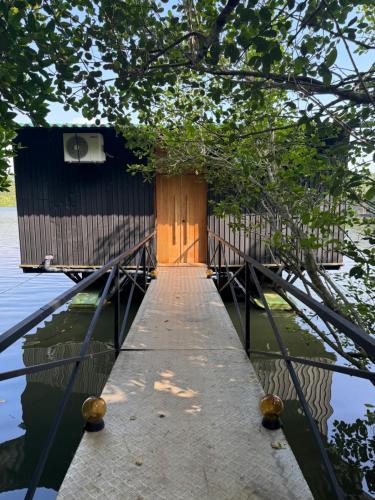 Příroda nedaleko chaty