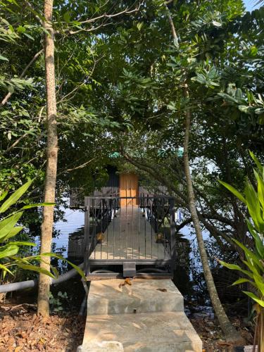 Zahrada ubytování Jungle Breeze