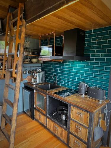a kitchen with a stove and a sink and a ladder at Romantic Valley Cabin - Outdoor Bath in Glen Huon
