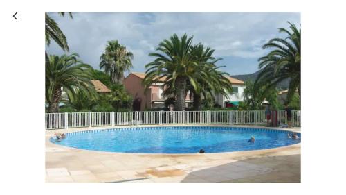 une grande piscine avec des palmiers en arrière-plan dans l'établissement Mazet avec piscine collective, au Lavandou