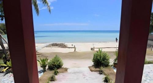 Příroda nedaleko rezortu