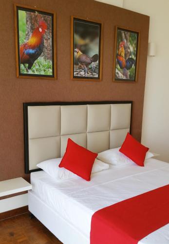 a bedroom with a bed with red pillows and paintings at Jade Green Hotel Hambantota in Hambantota