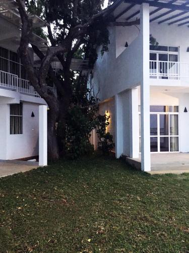 a white house with a tree in the yard at Jade Green Hotel Hambantota in Hambantota
