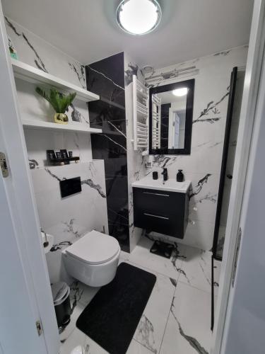 une salle de bains avec toilettes et lavabo dans l'établissement Apartments by Radecka Zarembowicza Wrocław Lotnisko, à Wrocław