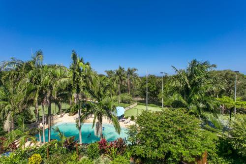 Hồ bơi trong/gần The Oasis Apartments and Treetop Houses