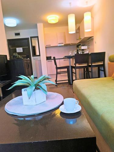 Warm Evenings and free Bottle of Wine in Perun Lodge