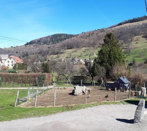 Φυσικό τοπίο κοντά σε αυτό το διαμέρισμα