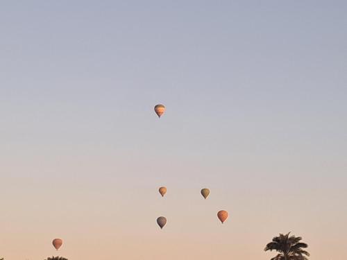 eine Gruppe von Heißluftballons, die in den Himmel fliegen in der Unterkunft Set ma'at in Luxor