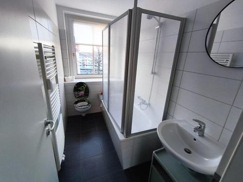 a bathroom with a sink and a shower and a toilet at Business Apartment Chemnitz in Chemnitz