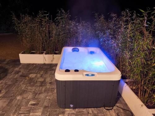 Loft chic avec Jacuzzi