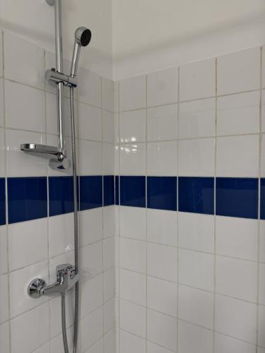 eine Dusche im Bad mit blauen und weißen Fliesen in der Unterkunft Studieux in Millau