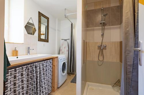 a bathroom with a sink and a washing machine at L'Eco-logis du Clos Des Tilleuls in Molieres-Glaudaz