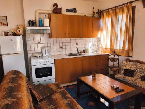 Kuchyň nebo kuchyňský kout v ubytování Efis house