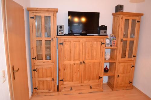een woonkamer met een tv op een houten kast bij 2-Raum Ferienwohnung in Connewitz in Leipzig