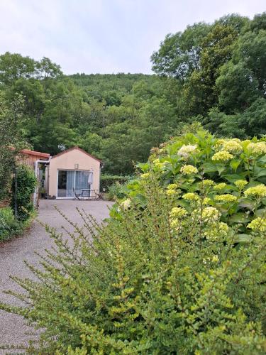 a garden with a house in the background at Jardin Fleuri - Proche Foix in Saint-Paul-de-Jarrat