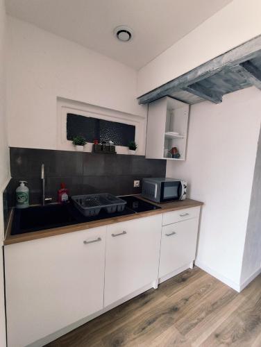 Kuchyň nebo kuchyňský kout v ubytování Studio Castor