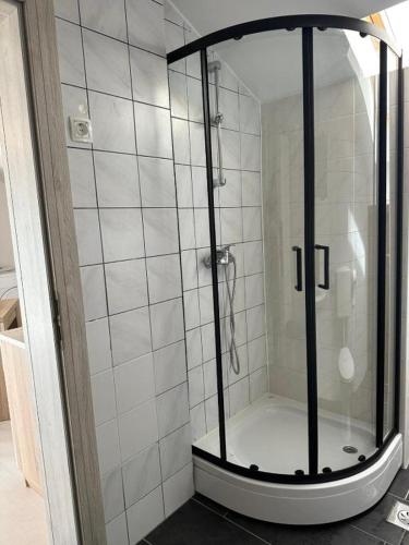 a shower with a glass door in a bathroom at Apartments and Wellness Ščavničar in Ljutomer