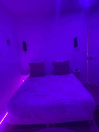 Ένα ή περισσότερα κρεβάτια σε δωμάτιο στο Appartement Jacuzzi proche Cité Gastronomique