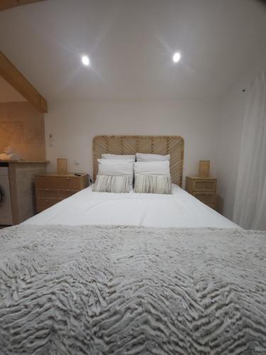 ein Schlafzimmer mit einem großen weißen Bett mit zwei Kissen in der Unterkunft Duplex design in Vedène