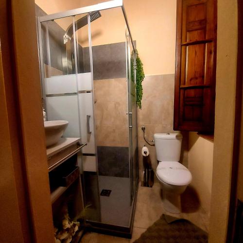 a bathroom with a shower and a toilet and a sink at QUERCECCHIO Relax in San Gimignano