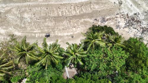 an aerial view of a beach with palm trees at Kamp Tapik - Sibaltan in El Nido