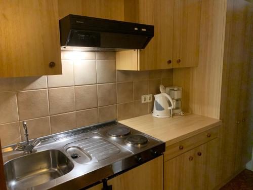 Η κουζίνα ή μικρή κουζίνα στο Haus Schuschnig