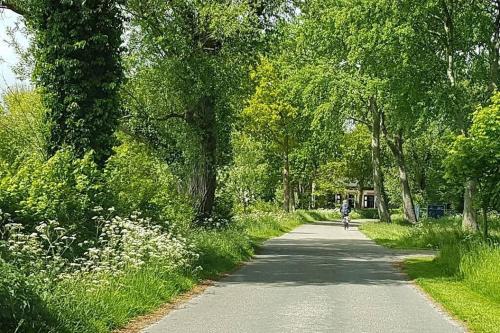 a person riding a bike down a road at Lovely Studio with Patio and Garden in Westenschouwen