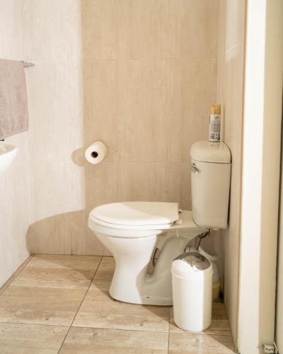 a bathroom with a toilet and a roll of toilet paper at The Executive House in Newcastle