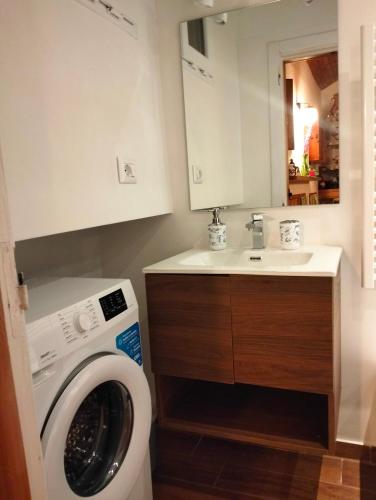 a bathroom with a washing machine and a sink at Erbanova in Sila in Camigliatello Silano