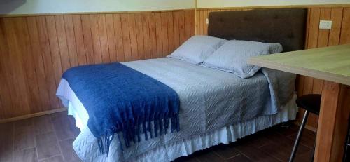 コクランにあるCabaña Los Carpinterosの木製の壁のドミトリールームのベッド1台分です。