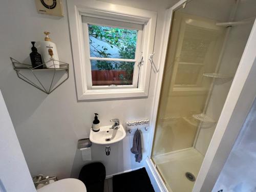 a small bathroom with a sink and a shower at Mount Eden Park in Auckland