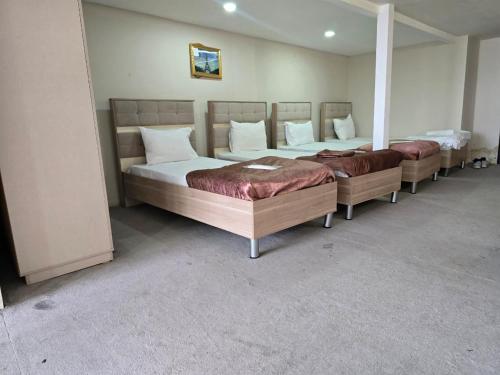 Gallery image of SaraSofi Hotel in Baku