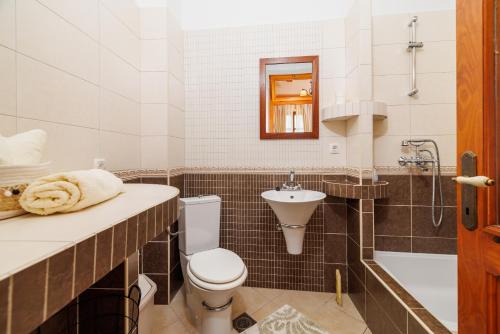 a bathroom with a toilet and a sink and a tub at KUCA MARSSILI in Grižane