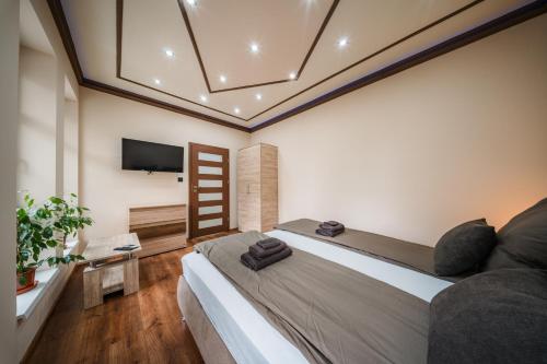 a bedroom with a large bed and a flat screen tv at White House Apartman Miskolc in Miskolc