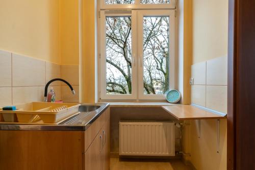 eine Küche mit Spüle und Fenster in der Unterkunft Mysłowice Urban Harmony Apartment by BookingHost in Mysłowice