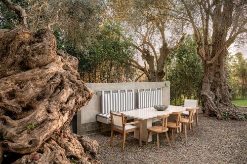 Κήπος έξω από το Villa 7