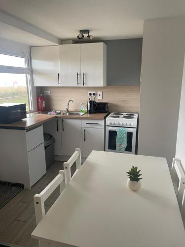 a kitchen with a white table with a potted plant on it at Sandhaven Beach Chalets in South Shields