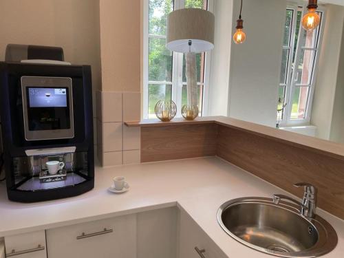 a kitchen with a sink and a tv on a counter at Régina Colmar Vignoble jusqu'à 10 personnes in Trois-Épis