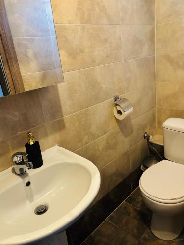 セレスにあるDowntown Studio 31の白い洗面台とトイレのあるバスルーム