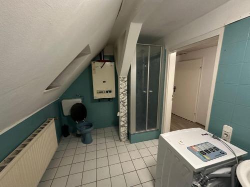 e bagno mansardato con servizi igienici e lavandino. di Exclusive Monteursunterkunft a Wunsiedel