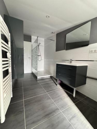 ein Badezimmer mit Waschbecken und Spiegel in der Unterkunft Chez Gomera in Verdun-sur-Meuse