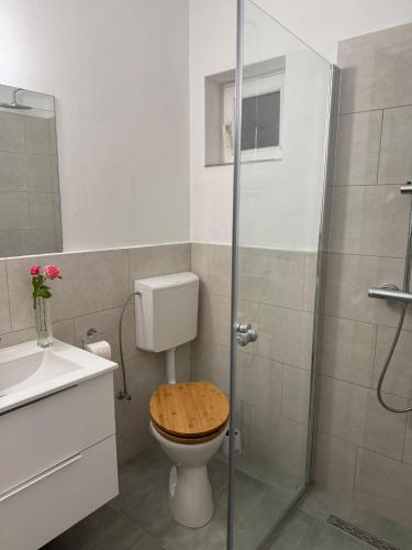 a bathroom with a toilet and a glass shower at Pensiunea LAZY in Şelimbăr