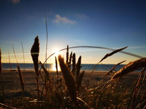 Příroda nedaleko prázdninového domu