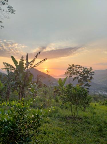 einen Sonnenuntergang über einem Feld mit Bäumen und Sträuchern in der Unterkunft Fazenda encantado in Mangaratiba