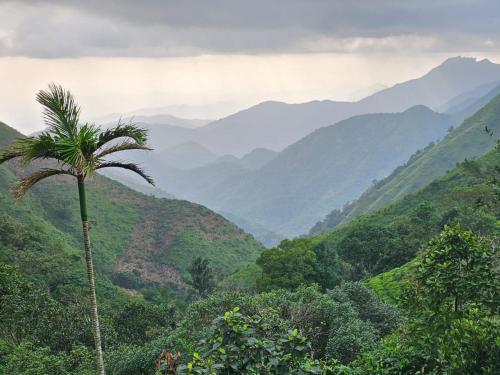 Příroda nedaleko chaty