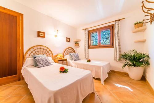 En eller flere senge i et værelse på Villa Tenis