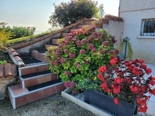 En have udenfor Appartement au calme dans villa proche de Vienne