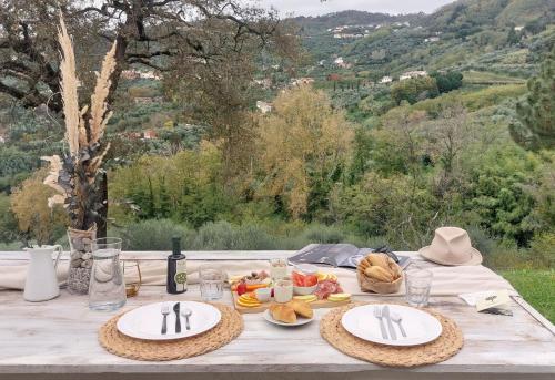 - une table de pique-nique avec des plaques de cuisson dans l'établissement Agriturismo La Forestaria, à Capannori