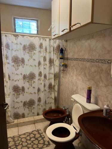 a bathroom with a toilet and a shower curtain at Quinta Atardeceres in Aldea Brasilera